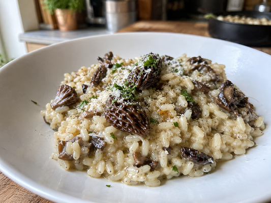 Risotto crémeux aux morilles Champi’Crécy