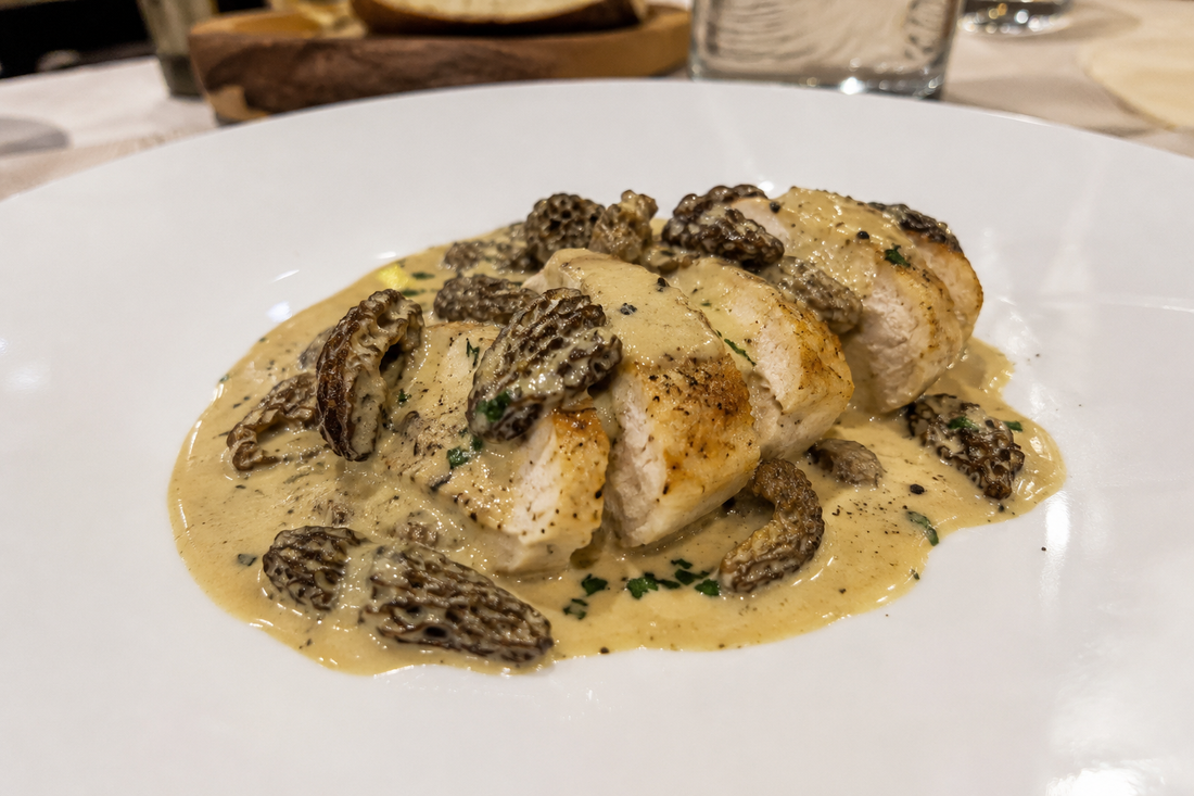 Sauce crémeuse aux morilles prête à servir