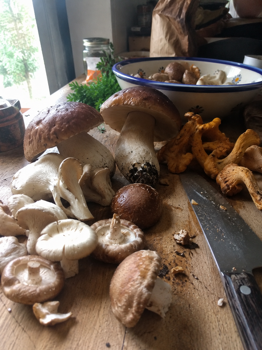 Bienfaits des champignons : nutrition