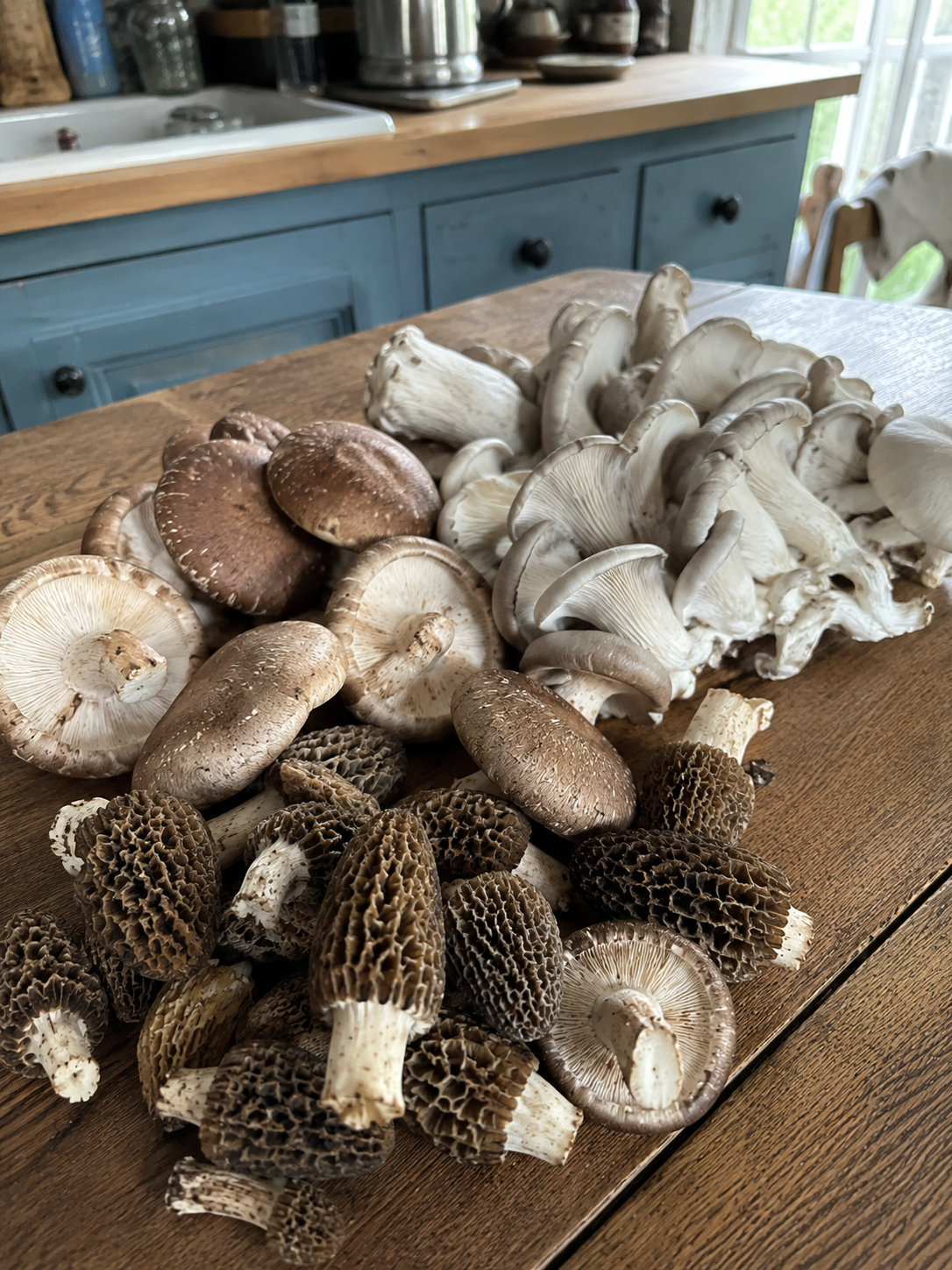 Champignons gastronomiques : guide