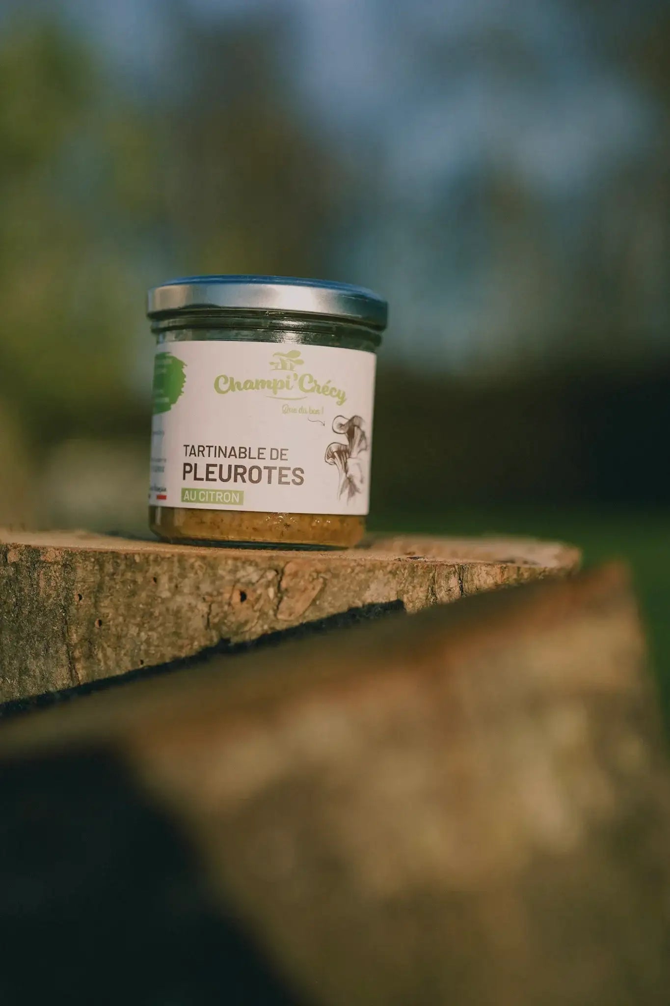 Tartinable de Pleurotes au Citron 120 g