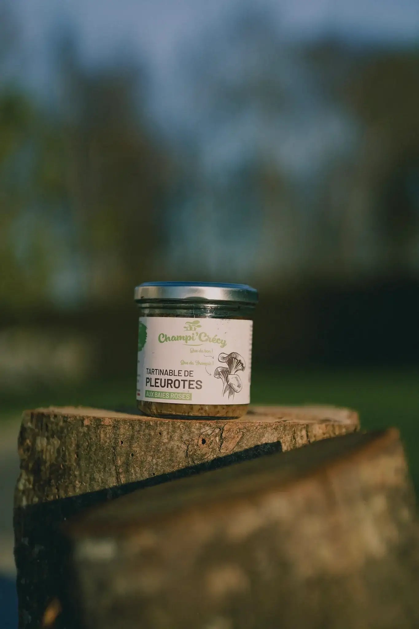 Tartinable de Pleurotes aux Baies Roses 120 g