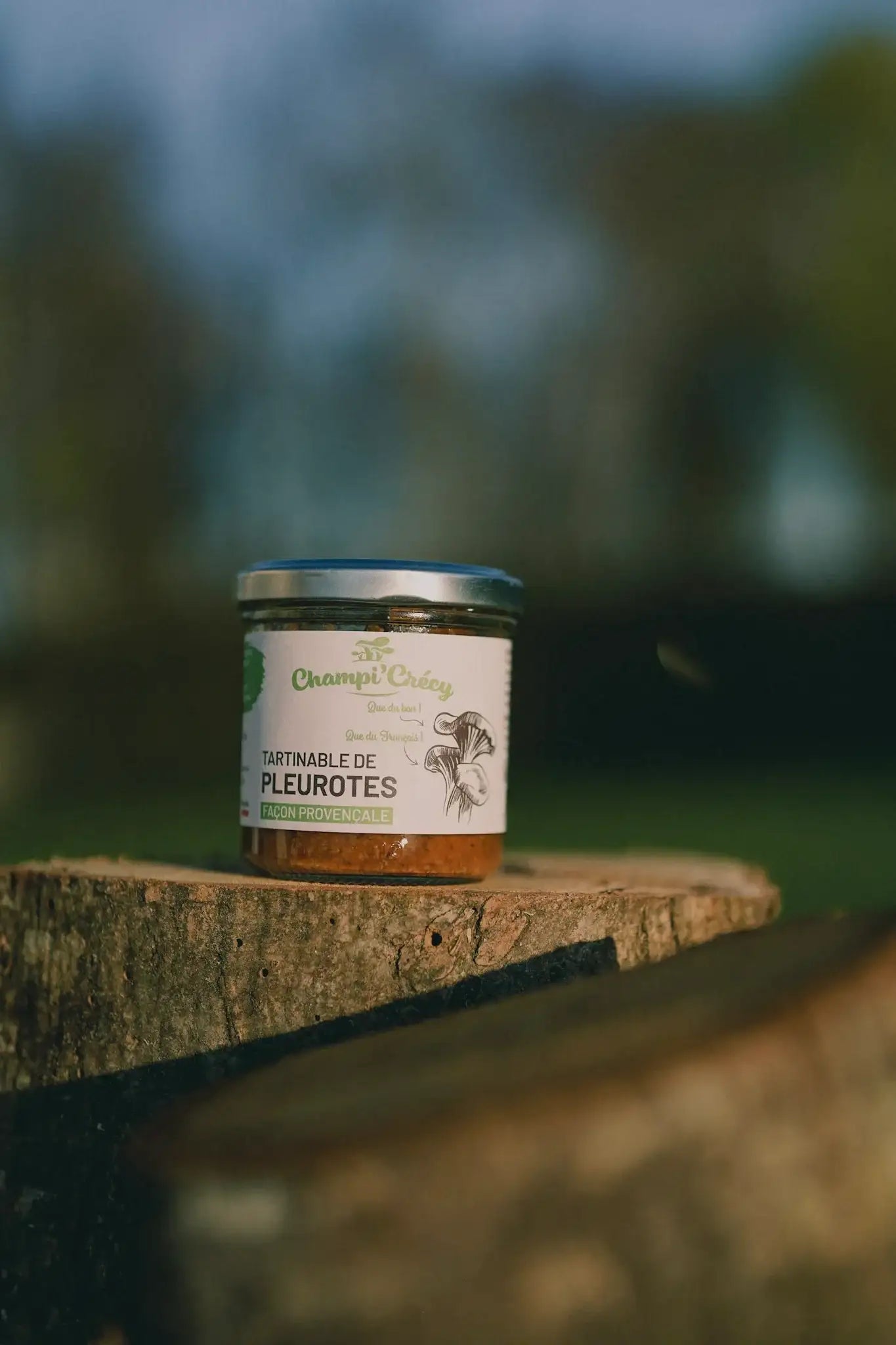 Tartinable de Pleurotes façon Provençale 120 g